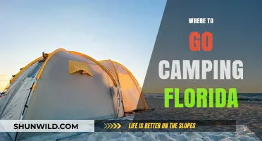 Discover Florida's Best Kept Camping Secrets: A Guide to Unforgettable Outdoor Adventures