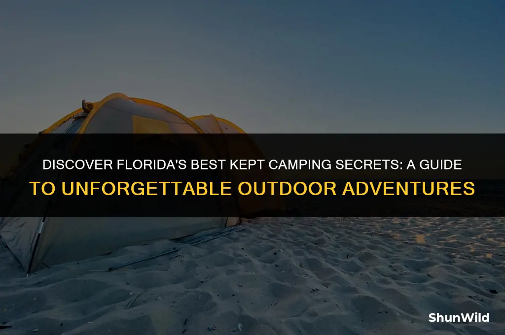 where to go camping florida