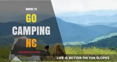 Discover the Best Camping Spots in North Carolina