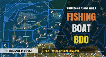 Best Fishing Spots for Your Boat in BDO