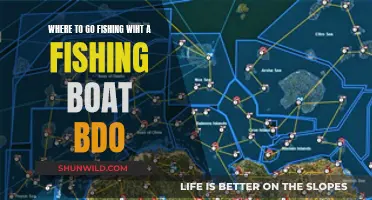Best Fishing Boat Locations in BDO