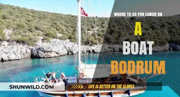 Boat-Borne Lunch: Exploring Bodrum's Best Dining Spots on the Water