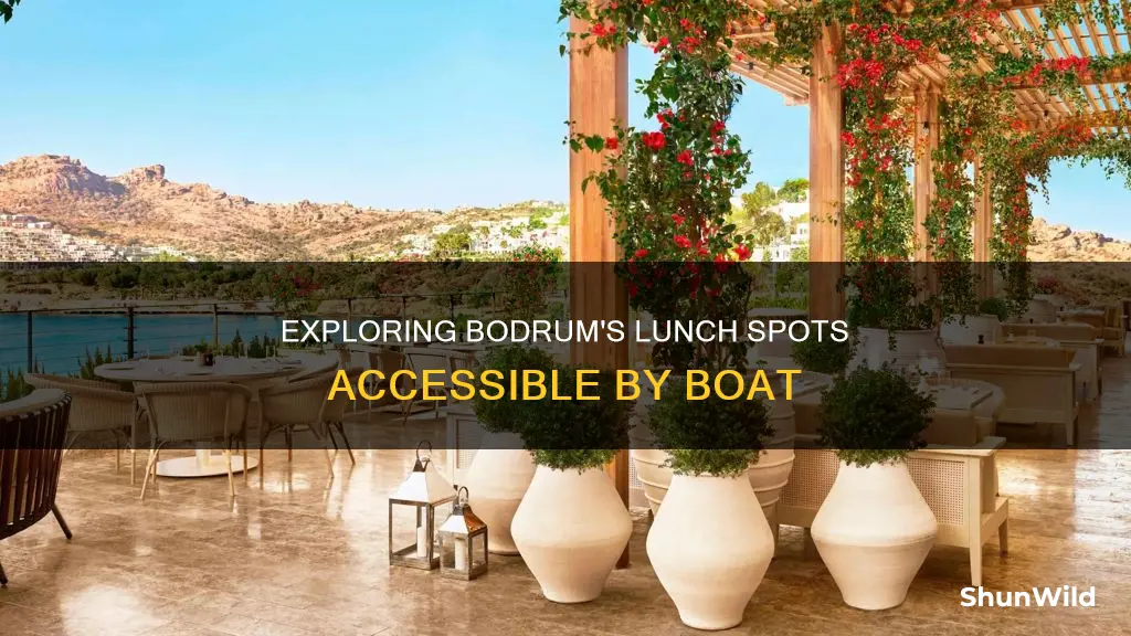 where to go for lunch on a boat bodrum