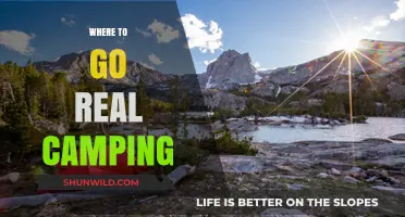 Discover the Great Outdoors: Top Spots for Authentic Camping Adventures