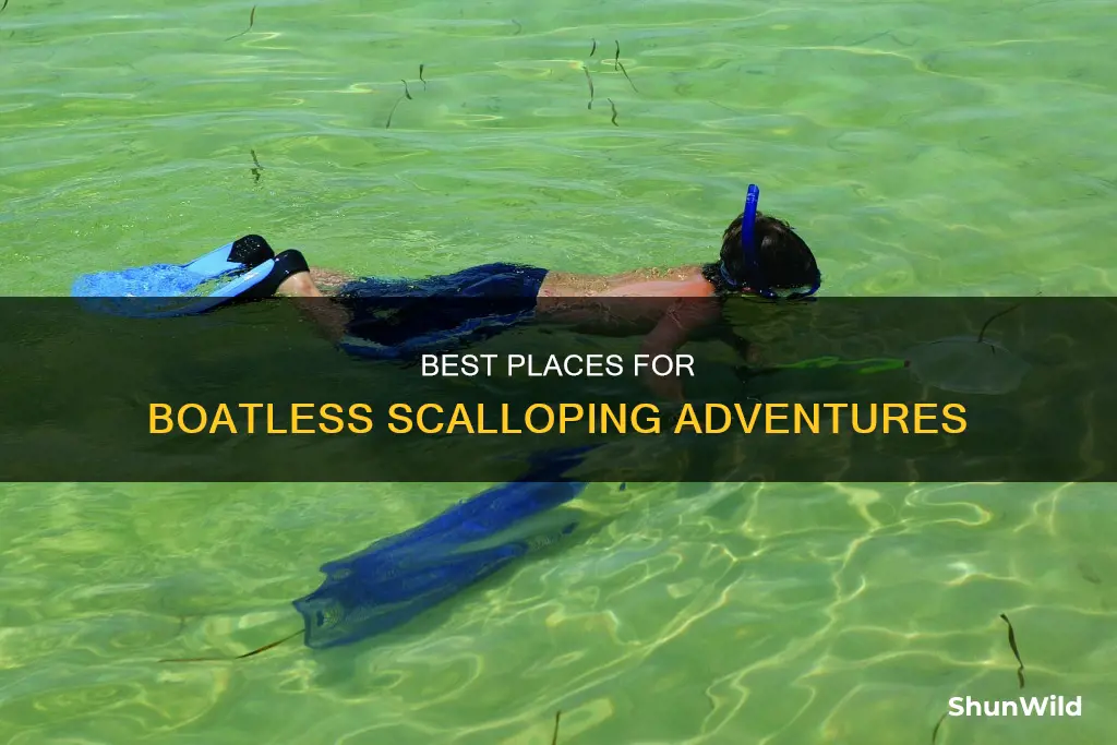 where to go scalloping without a boat