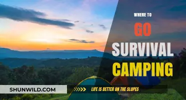 Exploring the Wilderness: Top Survival Camping Destinations