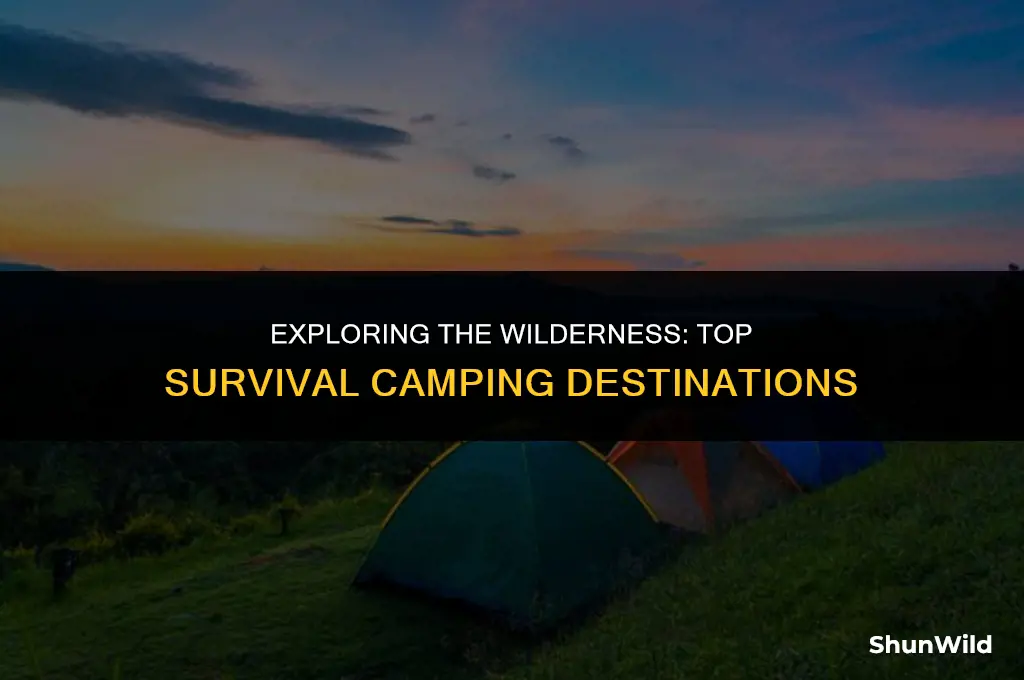 where to go survival camping