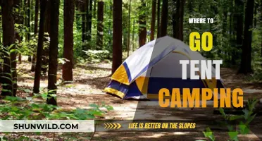 Discover the Best Tent Camping Spots: A Guide to Nature's Retreats