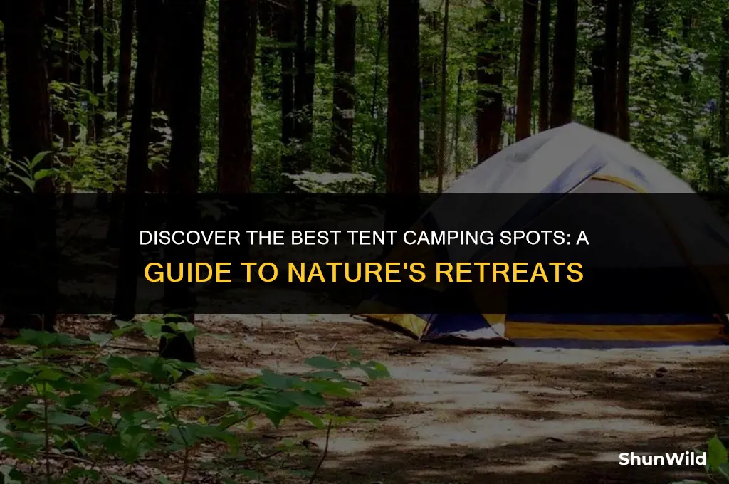where to go tent camping