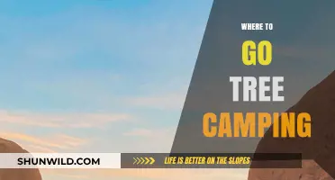Discover the Best Spots for Tree Camping Adventures