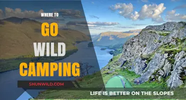 Untamed Escapes: Discover the Best Spots for Wild Camping Adventures