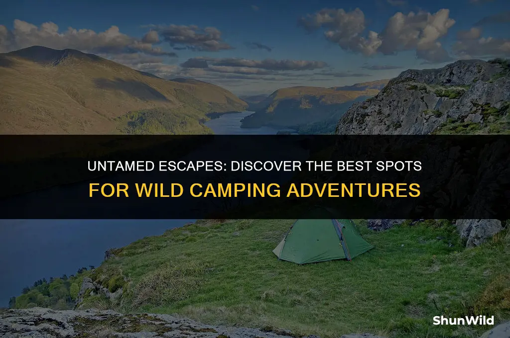 where to go wild camping