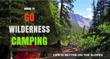 Exploring the Great Outdoors: Top Wilderness Camping Destinations