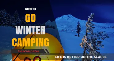 Chill Adventures: Top Winter Camping Destinations Unveiled