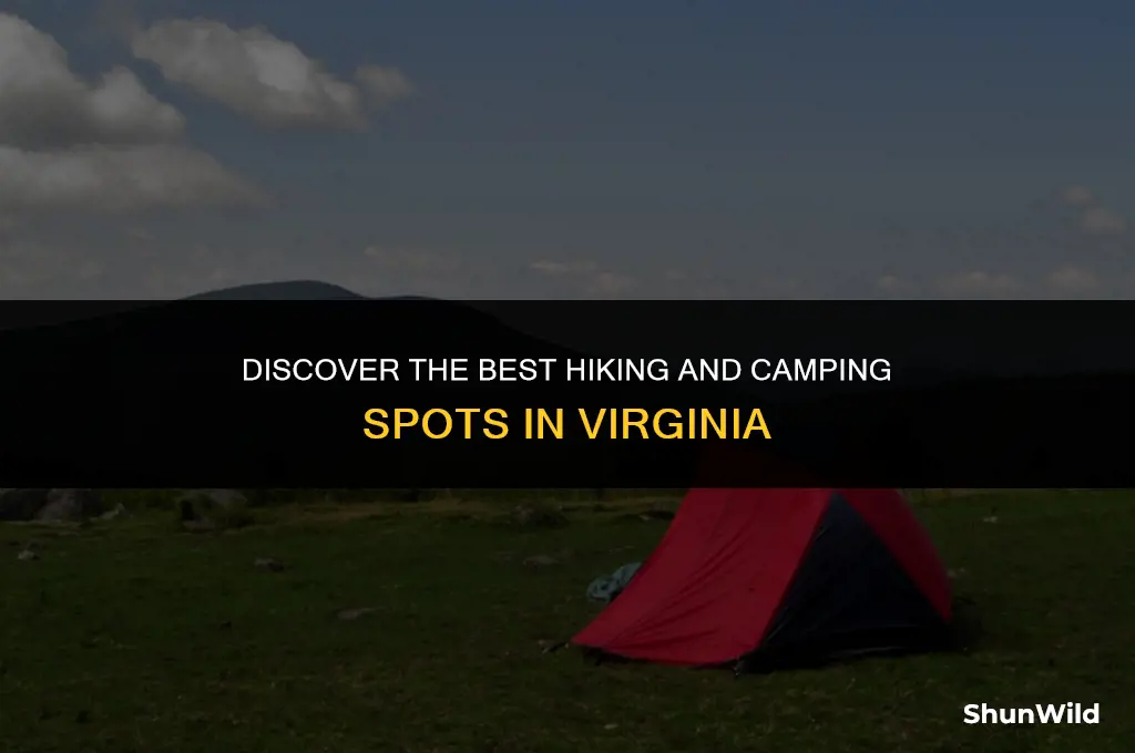 where to hikne camp va