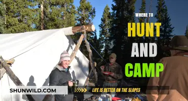 Exploring the Great Outdoors: Top Spots for Hunting and Camping