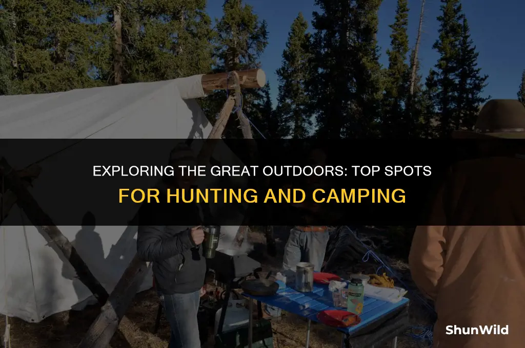 where to hunt and camp