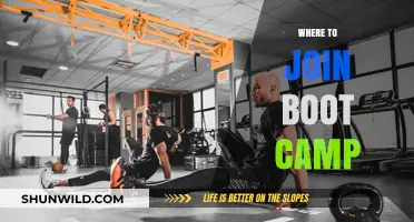 Discover the Best Boot Camps to Join for Your Fitness Goals