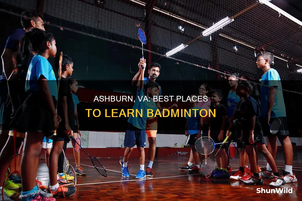 where to learn badminton in ashburn va