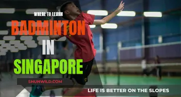 Best Places to Learn Badminton in Singapore