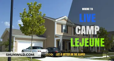 Exploring Housing Options Near Camp Lejeune: A Comprehensive Guide