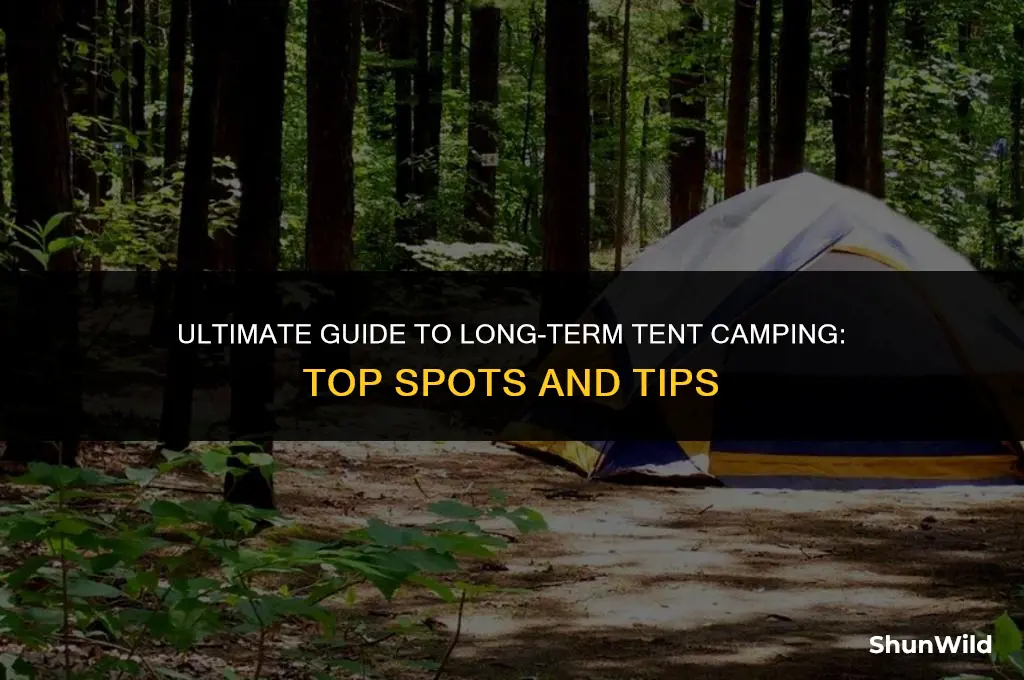 where to longterm tent camp