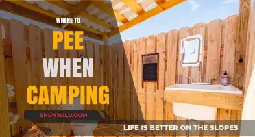 Nature's Restroom: A Camper's Guide to Finding Relief Outdoors