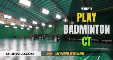 Best Places to Play Badminton in Connecticut
