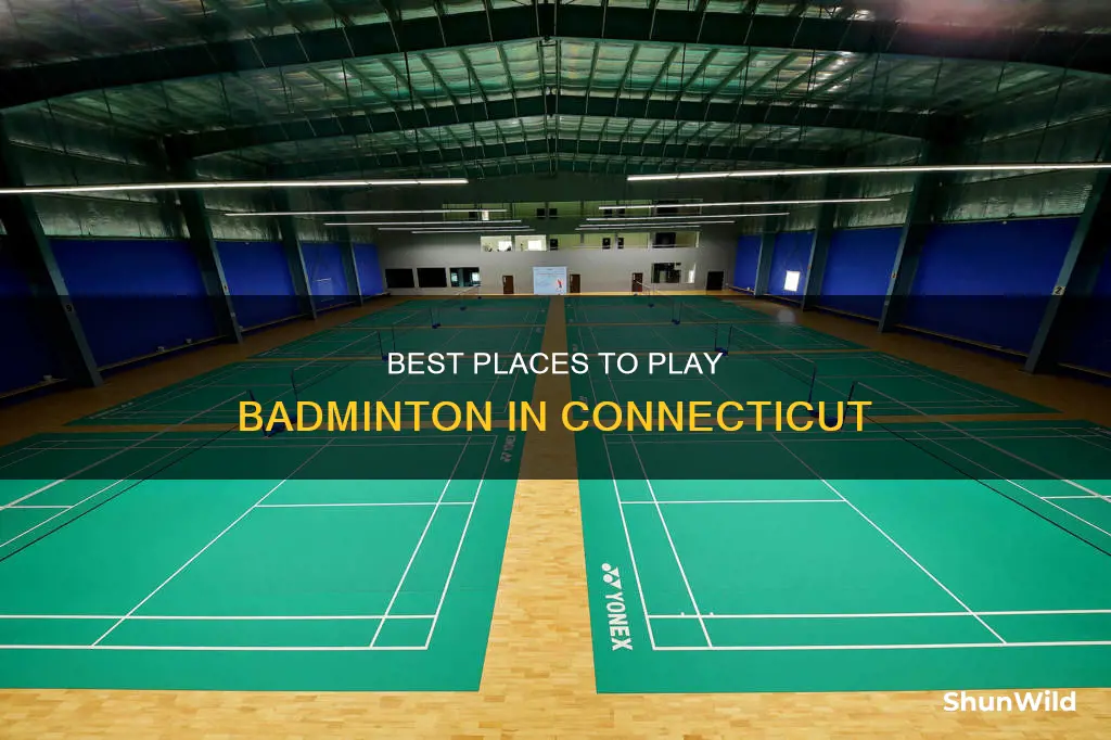 where to play badminton ct