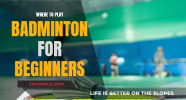 Best Places to Start Playing Badminton