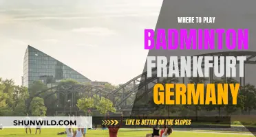 Best Places to Play Badminton in Frankfurt, Germany