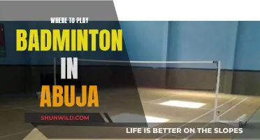 Best Badminton Courts in Abuja