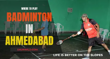 Badminton Venues in Ahmedabad: A Guide