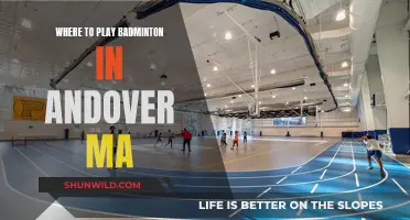 Best Places to Play Badminton in Andover, MA