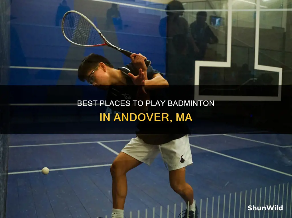 where to play badminton in andover ma