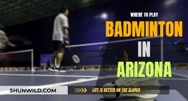 Best Badminton Venues in Arizona