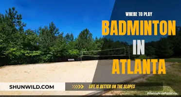 Best Places to Play Badminton in Atlanta