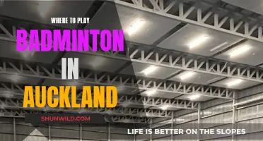 Best Places to Play Badminton in Auckland