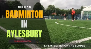 Best Places to Play Badminton in Aylesbury