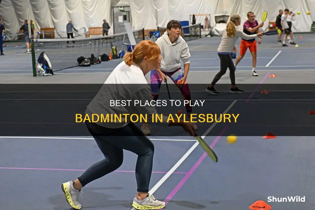 where to play badminton in aylesbury