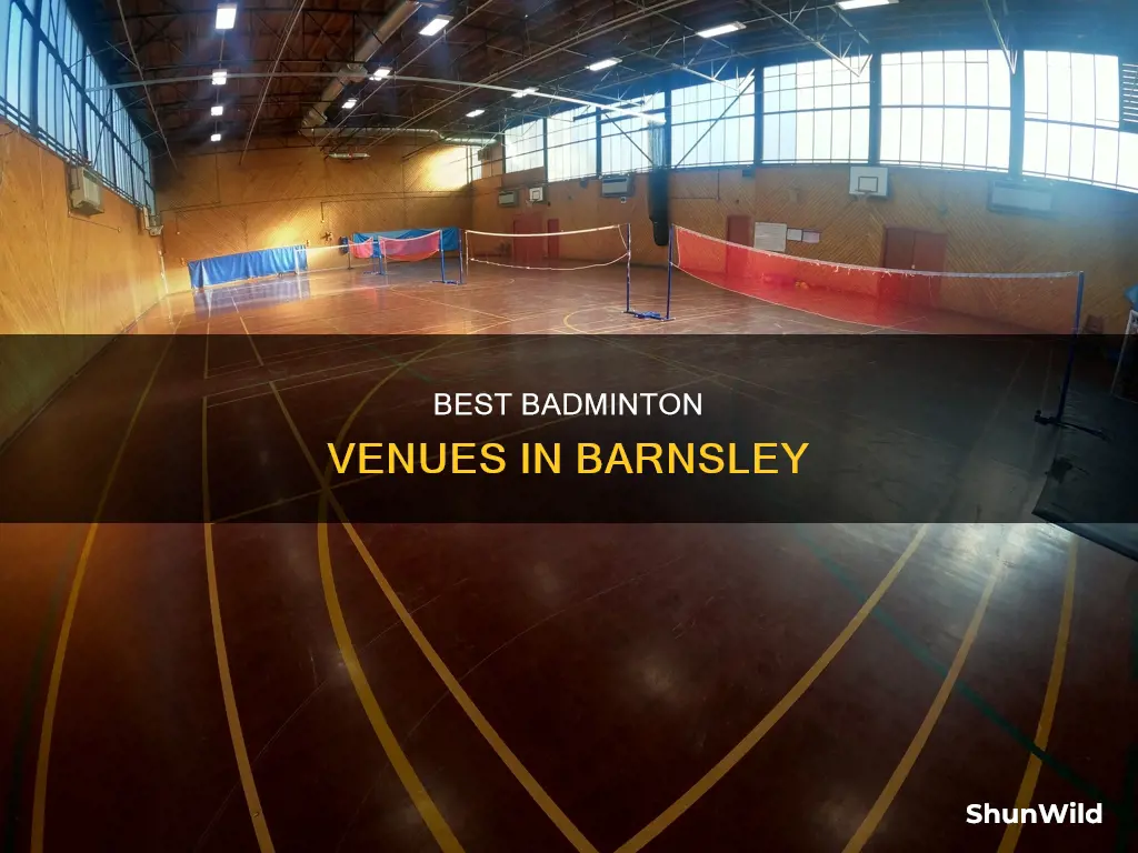 where to play badminton in barnsley