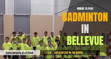Best Badminton Venues in Bellevue