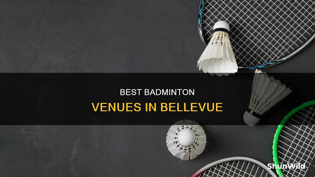 where to play badminton in bellevue