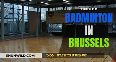 Brussels' Best Badminton Venues Revealed