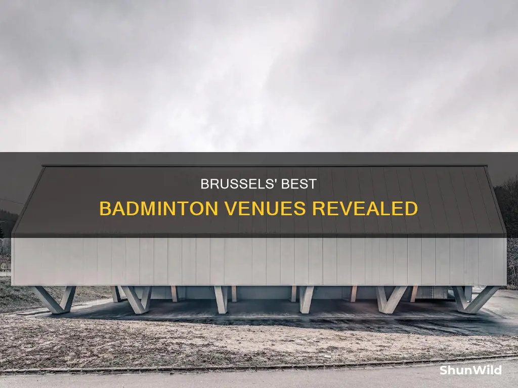 where to play badminton in brussels