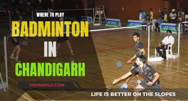 Badminton Venues: Exploring Chandigarh's Top Spots