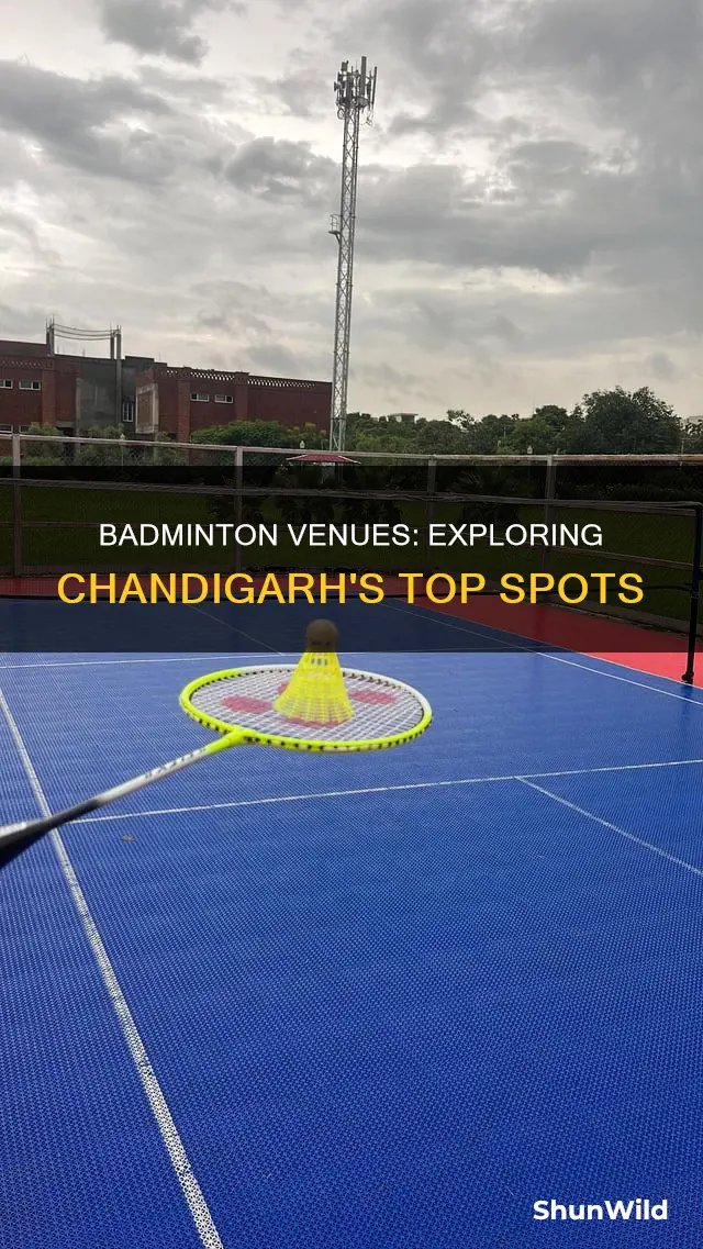 where to play badminton in chandigarh
