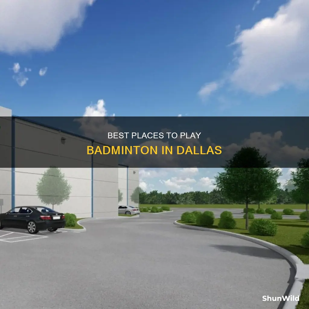 where to play badminton in dallas