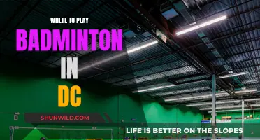 Best Places for Badminton in DC