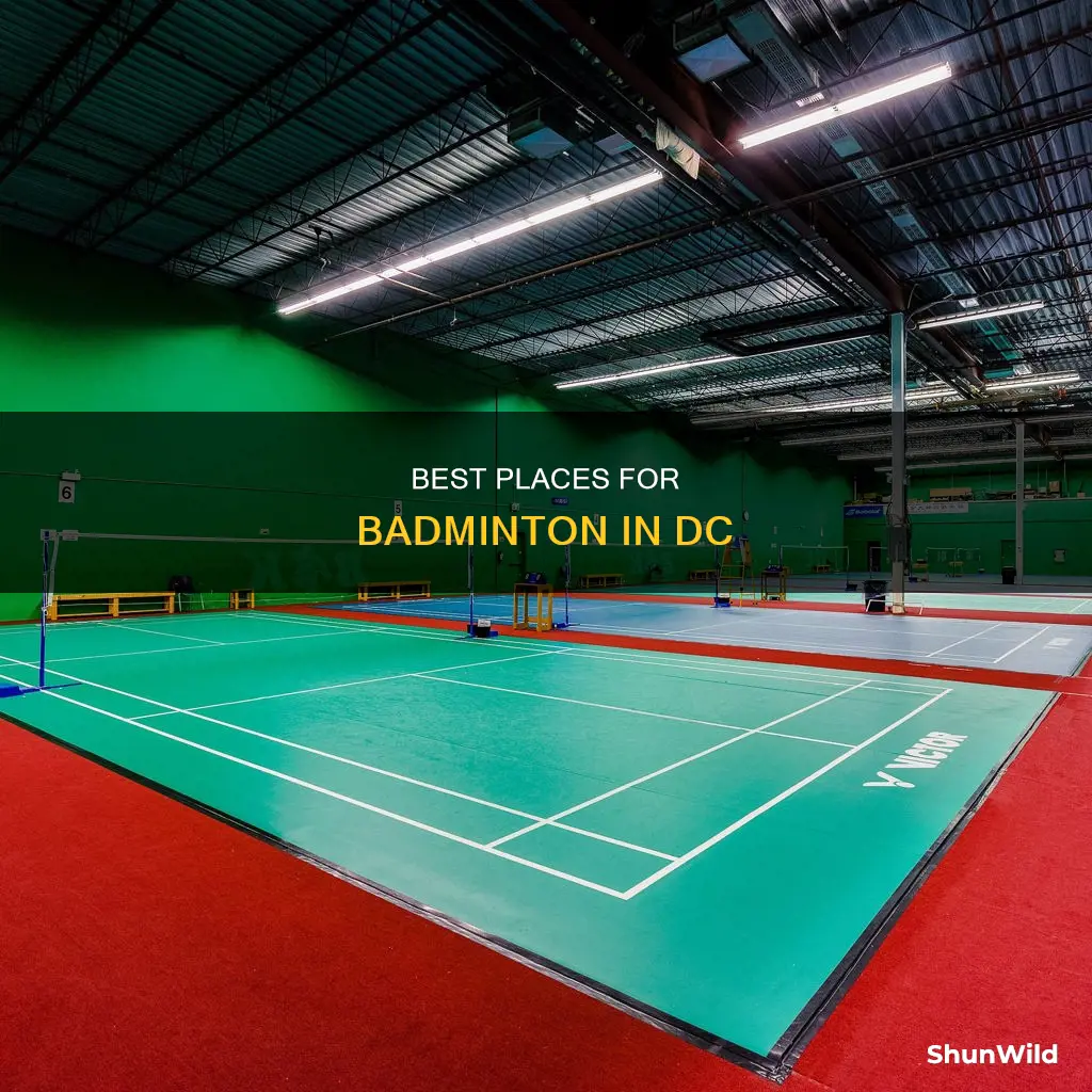where to play badminton in dc